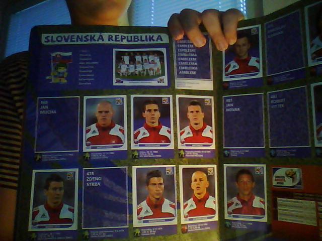 žePicture0008.jpg